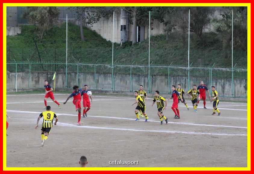 181111 Cepha_Milazzo 174_tn.JPG